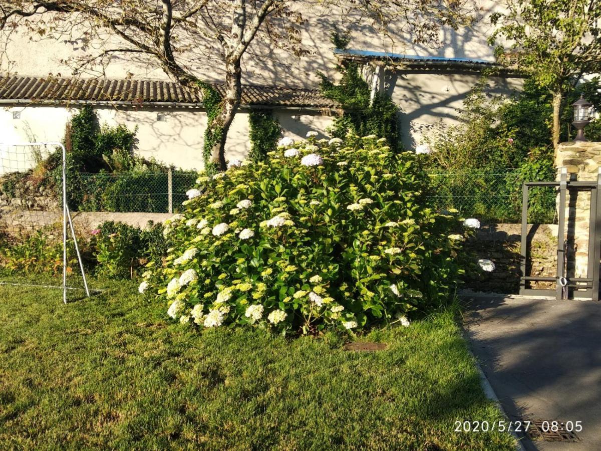 Casa Hortensia Salas  Luaran gambar